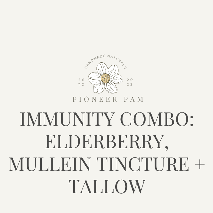Immunity Combo: Immune System & Respiratory Support- Mullein Tincture + Elderberry Kit + Mullein Tallow - Korvel