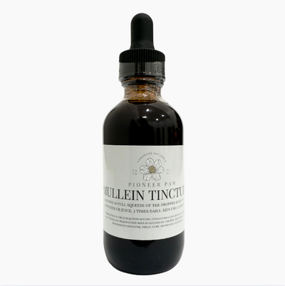 Mullein Tincture: Respiratory + Immune System Support - Korvel