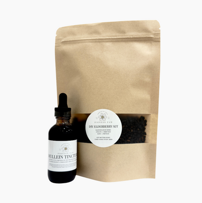 Dynamic Duo: Immune & Respiratory Support- Mullein Tincture + Elderberry Kit - Korvel