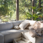 Lit pour chien Cozy Cloud en beige