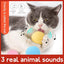 Pelota Interactiva para Gatos con Sonido - 3 Colores