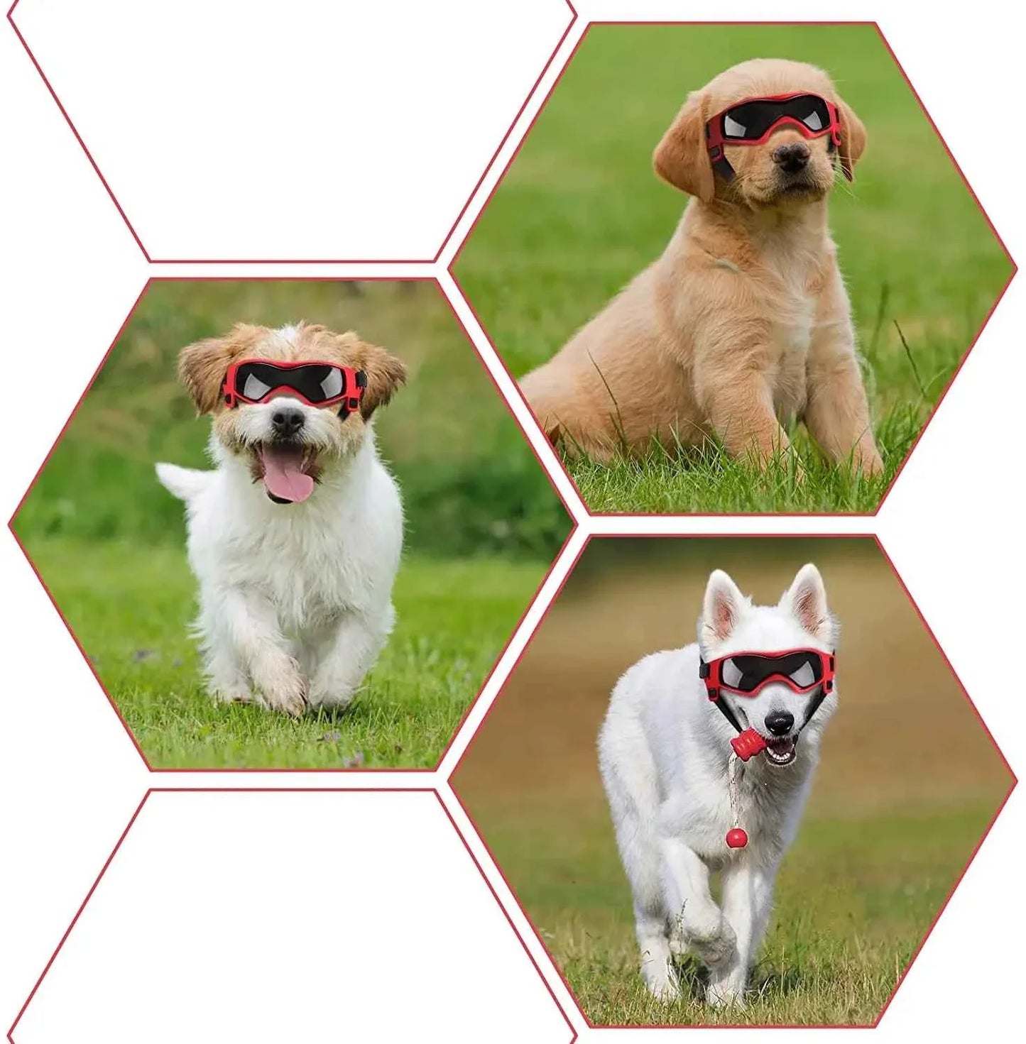 Lunettes UV pour animaux de compagnie : Protection oculaire élégante pour chiens et chats