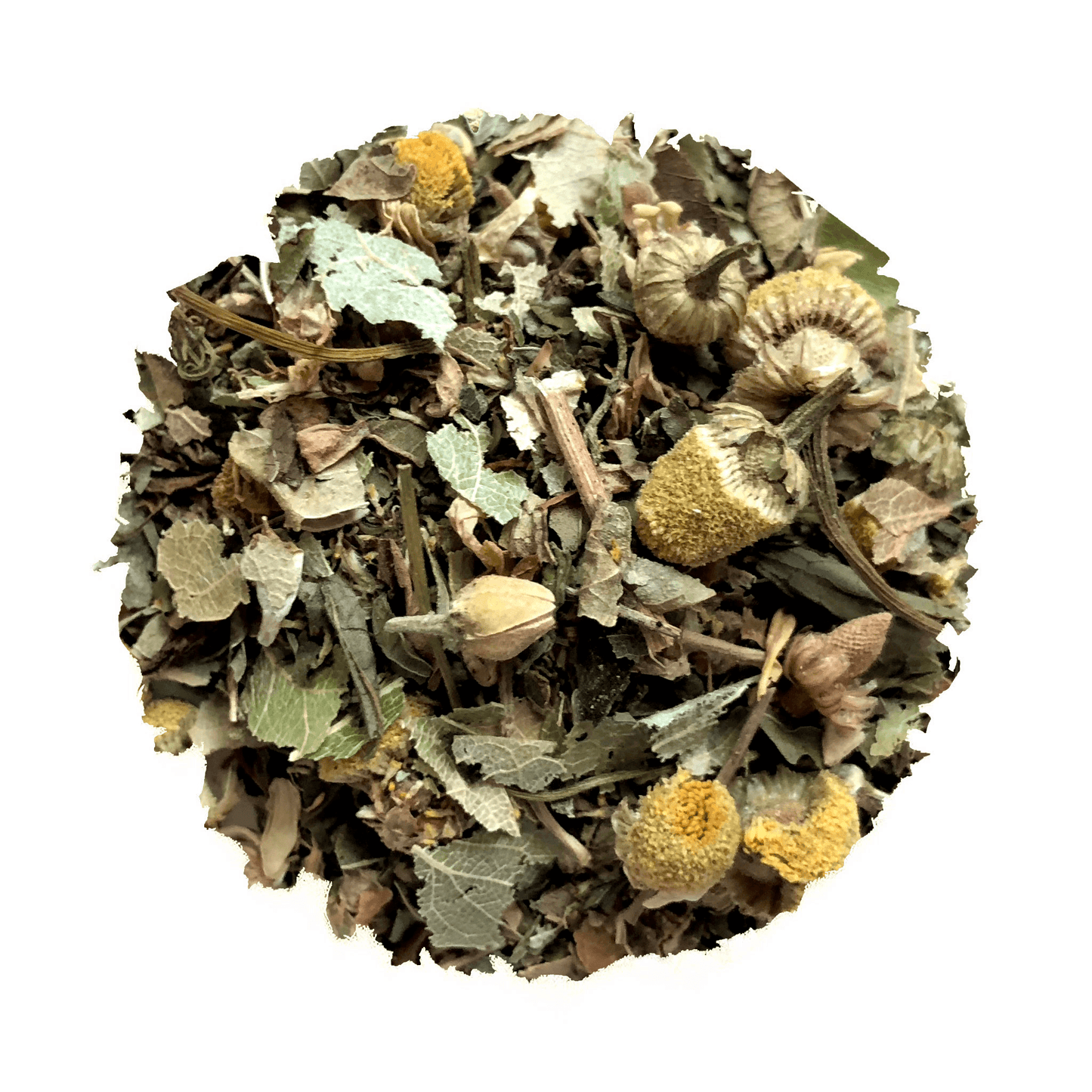 Seaview Slumber - Korvel