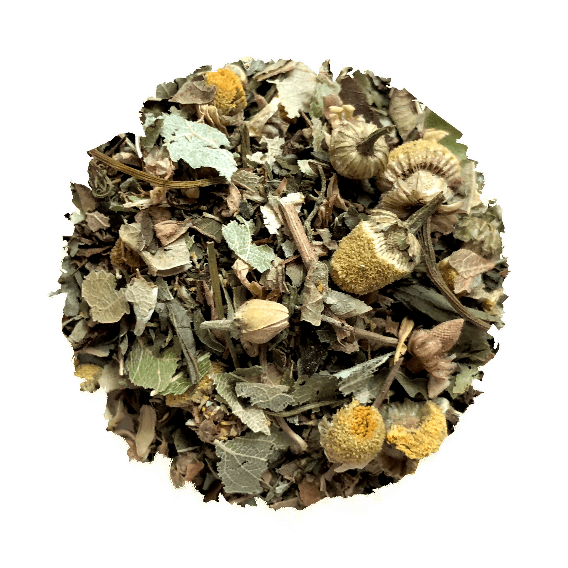 Seaview Slumber - Korvel