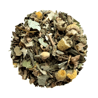 Seaview Slumber - Korvel