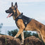 Chaleco para Perros TactiGrip Sin Tirones: Ajustable y Seguro