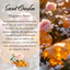 Enchanting Secret Garden Premium Coconut-Soy Wax Melts with Crystals - Korvel