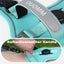 Conjunto de Arnés y Correa Reflectante No-Tire TrackSafe