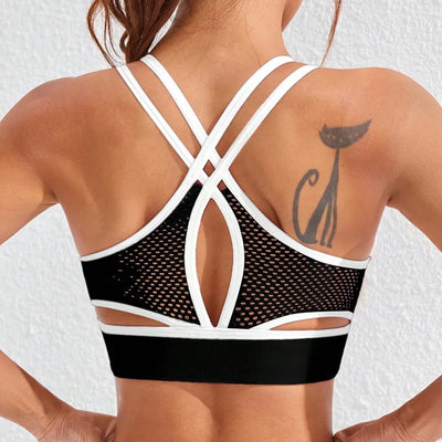 Premium Push-Up Yoga Sports Bra & Gym Crop Top