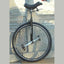 Monocycle robuste de 28" avec freins pour grands riders