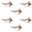 Mouches noyées Orange Shakey Bealy Fall Soft Hackle - Taille 10 (Pack de 6)