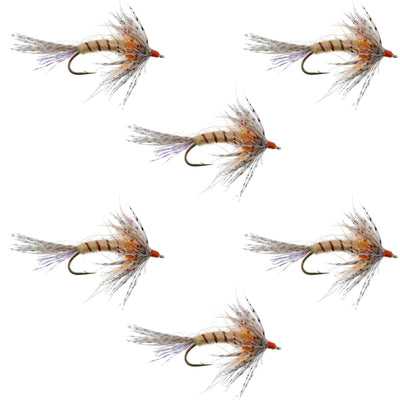 Orange Shakey Bealy Fall Soft Hackle Wet Fly - Size 10 (6 Pack)