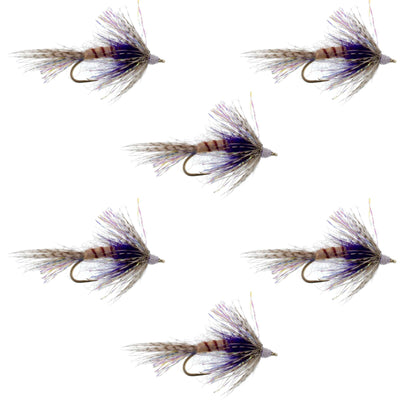 Purple Shakey Bealy Fall Soft Hackle Wet Fly - Size 10 (6 Pack)