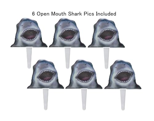 Medium Shark Cake Kit for Celebrations