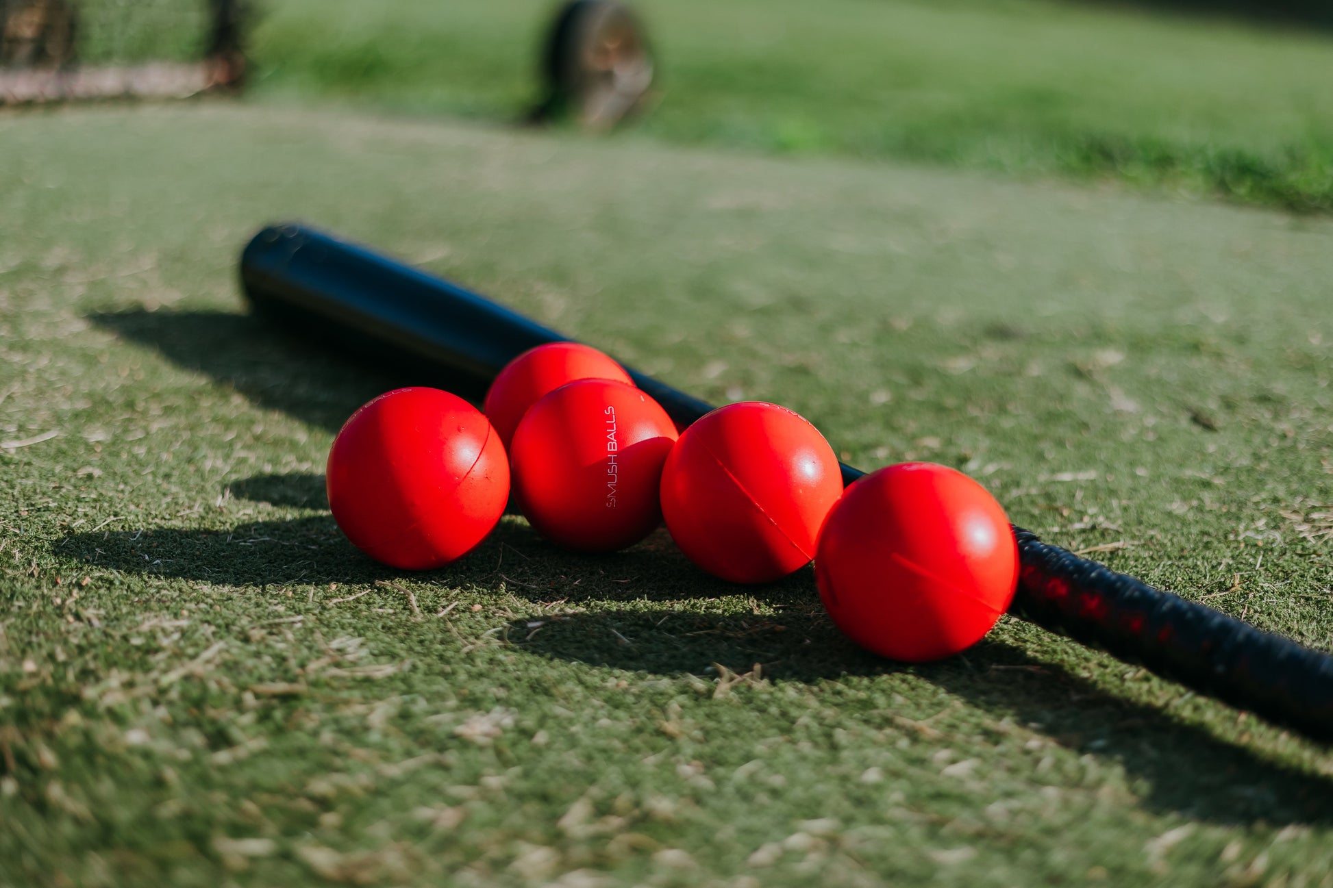 Ultimate Smushballs for Unmatched Baseball Training - Korvel