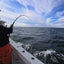 Magictail Striper Special Fishing Rods - Korvel