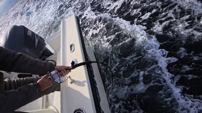 Magictail Striper Special Fishing Rods - Korvel
