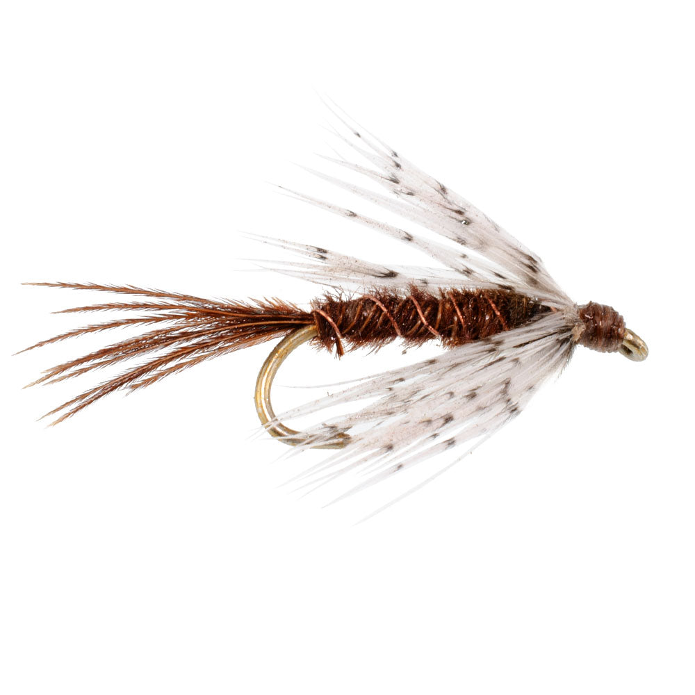 Trout Fishing Essentials: 3-Pack Soft Hackle Wet Flies - Size 14 - Korvel