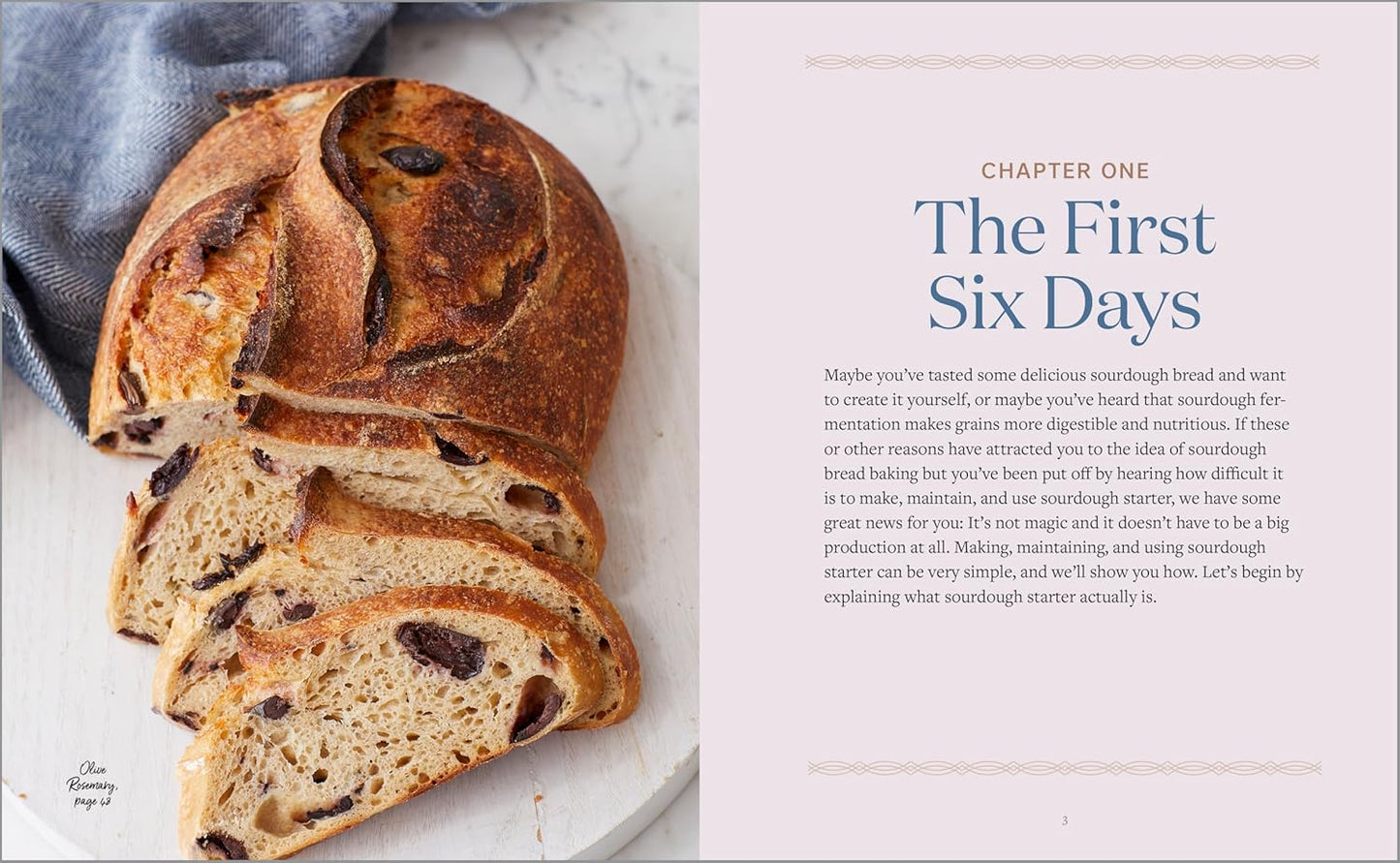 Beginner's Guide to Sourdough Baking (Spiral Bound) - Korvel