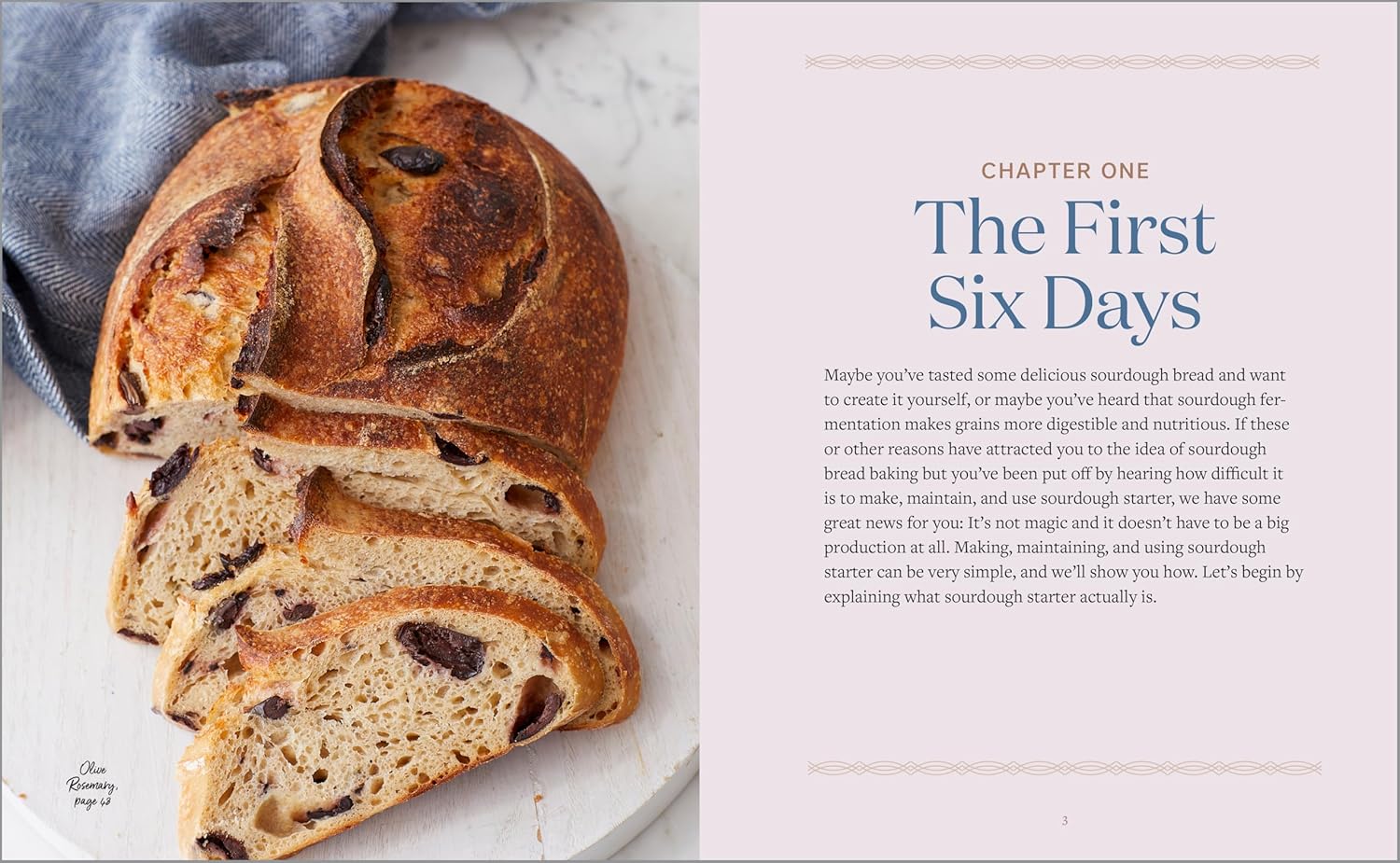 Beginner's Guide to Sourdough Baking (Spiral Bound) - Korvel