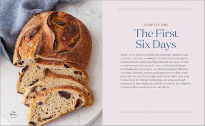 Beginner's Guide to Sourdough Baking (Spiral Bound) - Korvel