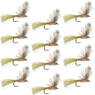 Sparkle Dun Callibaetis Mayfly - 12 Flies Hook size 16 - Korvel