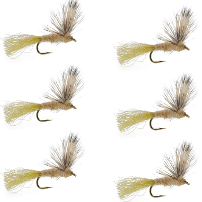 Sparkle Dun Callibaetis Mayfly - 6 Flies Hook size 16 - Korvel