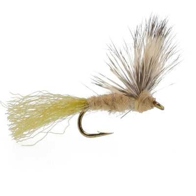 Sparkle Dun Callibaetis Mayfly - 6 Flies Hook size 16 - Korvel