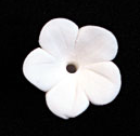 Stephanotis Flower Decorations - Medium 80 Count