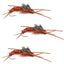 3-Pack Barbless Kaufmann's Brown Stone Fly Nymphs with Rubber Legs - Size 6 - Korvel