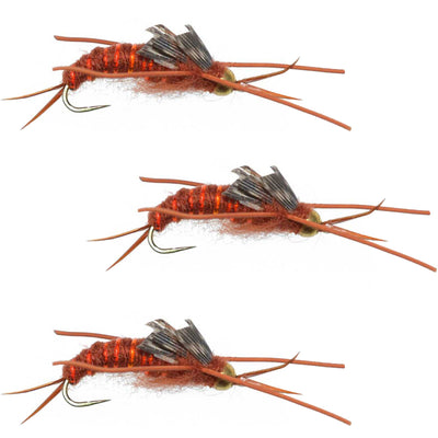 3-Pack Barbless Gold Bead Kaufmann's Brown Stonefly Nymphs with Rubber Legs - Size 10 - Korvel