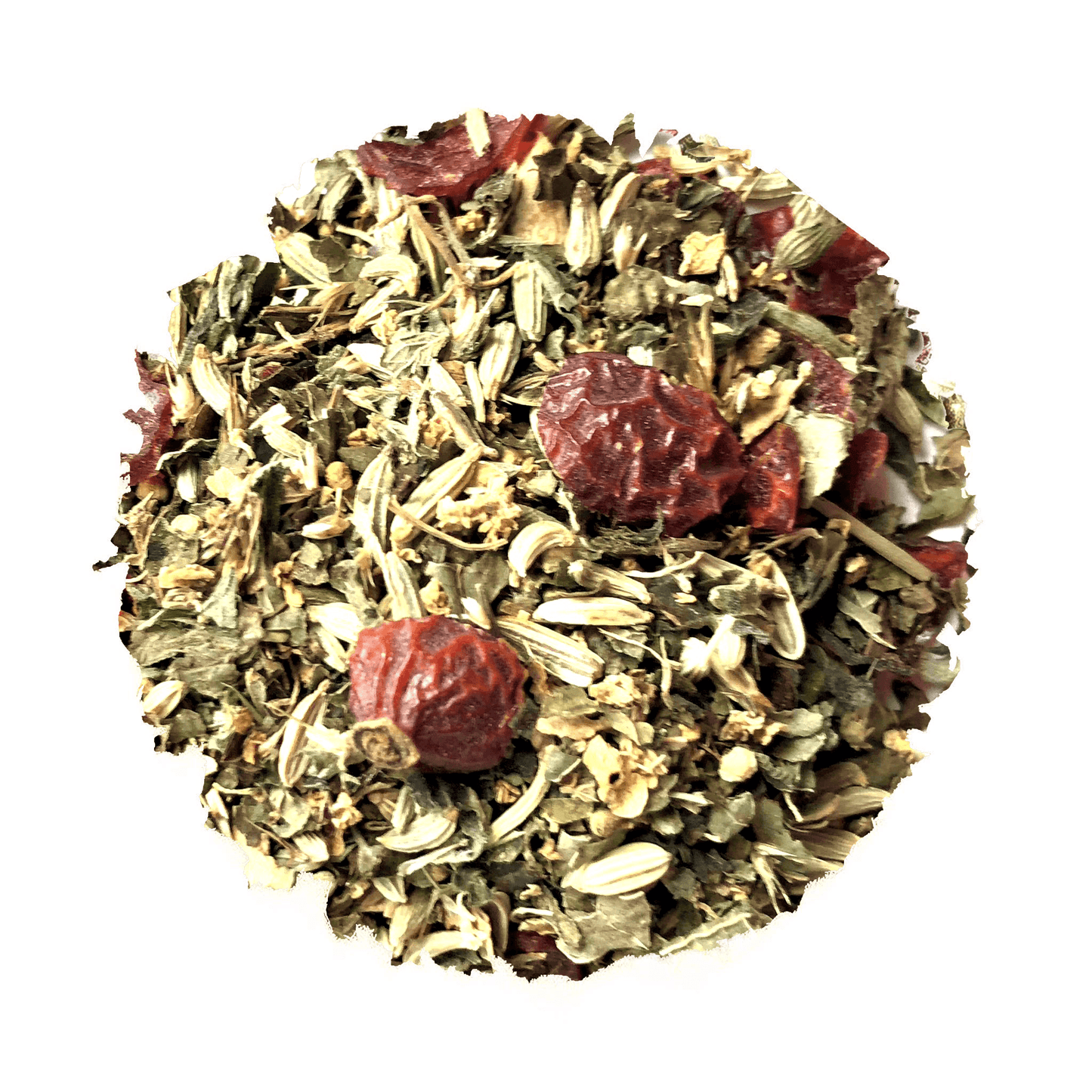 Storm Chaser For Kids - Korvel