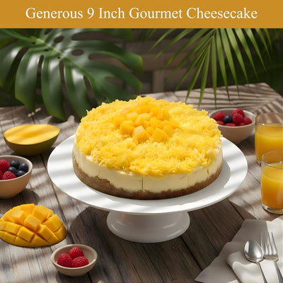 Andy Anand Sugar Free Coconut Mango Cheesecake - Gourmet Dessert