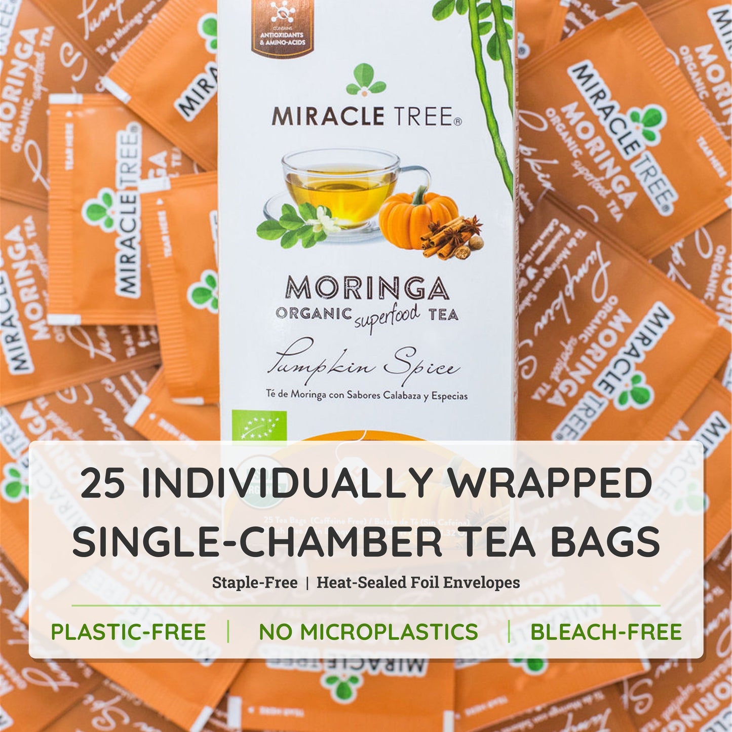 Thé Moringa Bio avec Épices de Citrouille