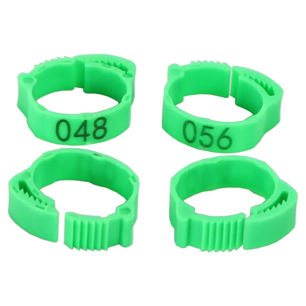 Anillos para patas de pollo - Edición Clucktastic