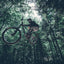 TSG Sentinel Full Face Downhill MTB Helmet