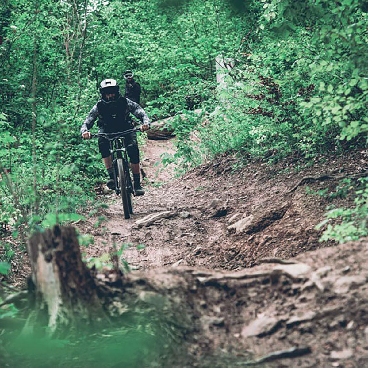 TSG Sentinel Full Face Downhill MTB Helmet