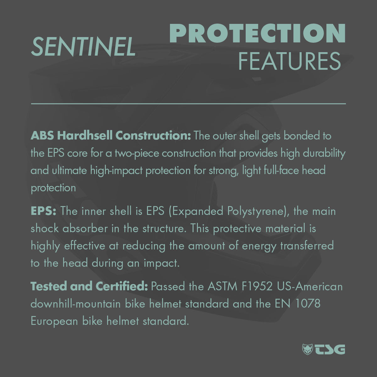 TSG Sentinel Full Face Downhill MTB Helmet