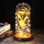 Enchanted Glass Rose Decoration for Home Decor