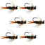 Premium Black Tungsten Bead Prince Jig Tactical Nymph Flies - Set of 6 Size 14 - Korvel