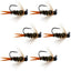 Premium Black Tungsten Bead Prince Jig Tactical Nymph Flies - Set of 6 Size 10 - Korvel