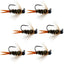 Premium Black Tungsten Bead Prince Jig Tactical Nymph Flies - 6 Pack Size 12 - Korvel