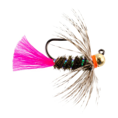 Tactical Tungsten Bead Nymph Fly Assortment - 9 Flies in Sizes 10, 12, 14 for Euro Fishing - Korvel