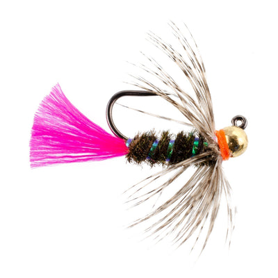 Premium Tungsten Bead Tactical Blow Torch Nymph Flies - 12 Pack Size 16 - Korvel