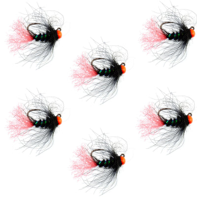 Premium Tungsten Bead Jig Flies for Tactical Nymphing - Set of 6 Size 16 - Korvel