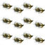 Premium Tungsten Bead Mini Bugger Tactical Nymphs - 12 Pack Size 12 - Korvel