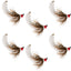 Premium Tungsten Bead Mop Fly Tactical Jig Set - 6 Size 14 Barbless Flies for Euro Nymphing - Korvel