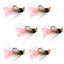 Tactical Tungsten Bead Jig Flies - Tasmanian Devil Euro Nymphing Set (Size 16, 6 Flies) - Korvel