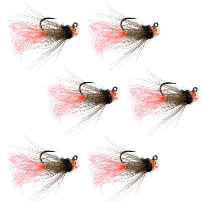 Tactical Tungsten Bead Jig Flies - Tasmanian Devil Euro Nymphing Set (Size 16, 6 Flies) - Korvel