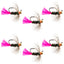 Premium Tungsten Bead Tactical Blow Torch Nymph Flies - Set of 6 (Size 16) - Korvel